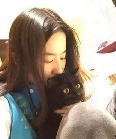 吃瓜娱乐圈刘亦菲微博,娱乐圈幕后故事大揭秘